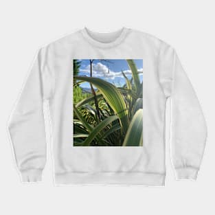 Harakeke in the sun Crewneck Sweatshirt